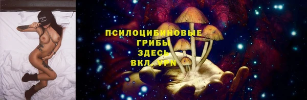 спиды Белоозёрский