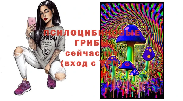 спиды Белоозёрский